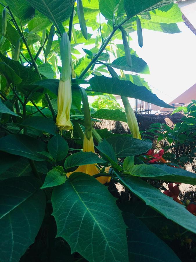 Appartamento Casa De Aurora Rubí Esterno foto